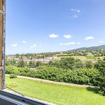 Sejourner Au Chateau De La Roue Grand Appartement Lissieu Dış mekan fotoğraf