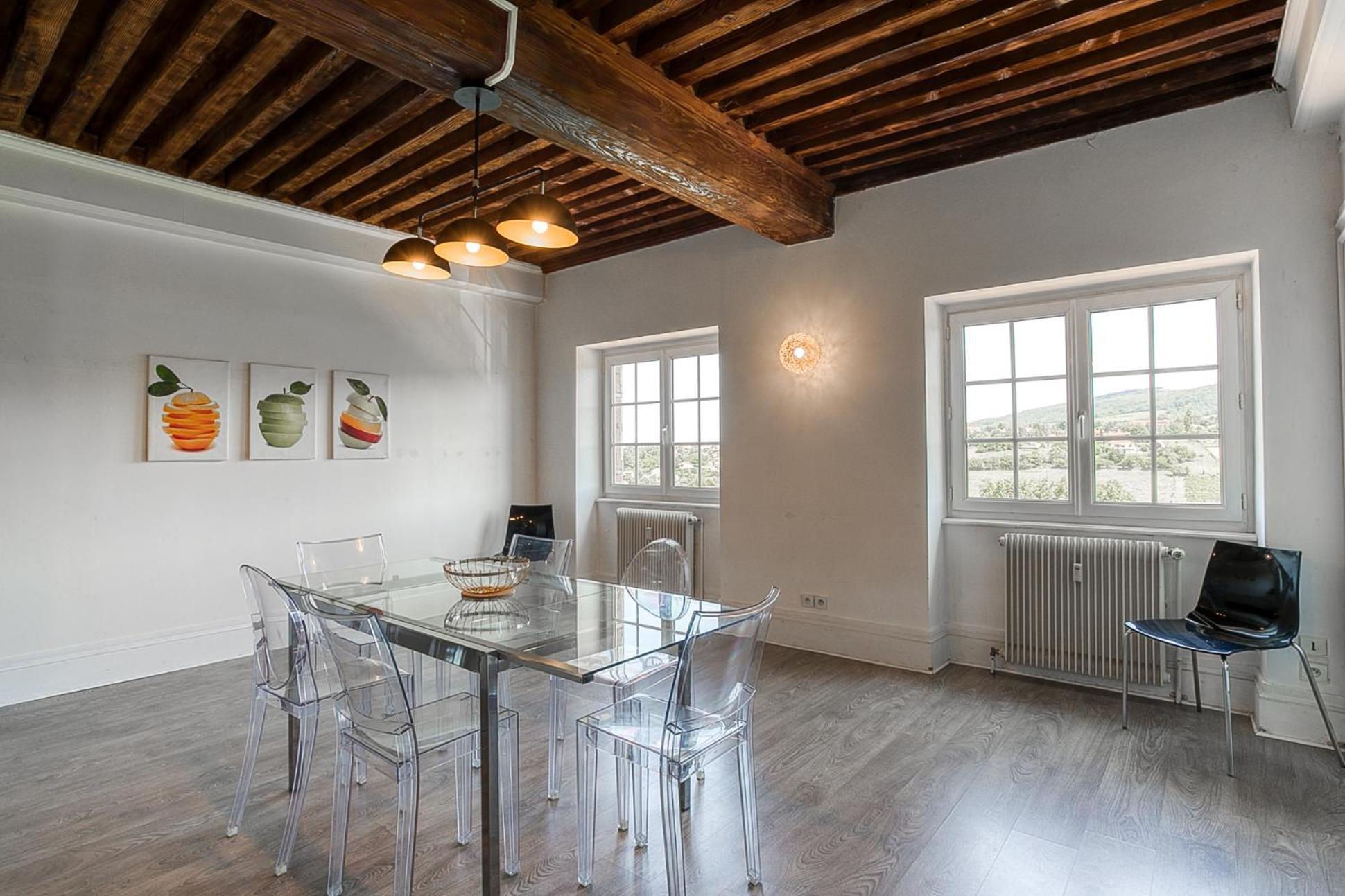 Sejourner Au Chateau De La Roue Grand Appartement Lissieu Dış mekan fotoğraf