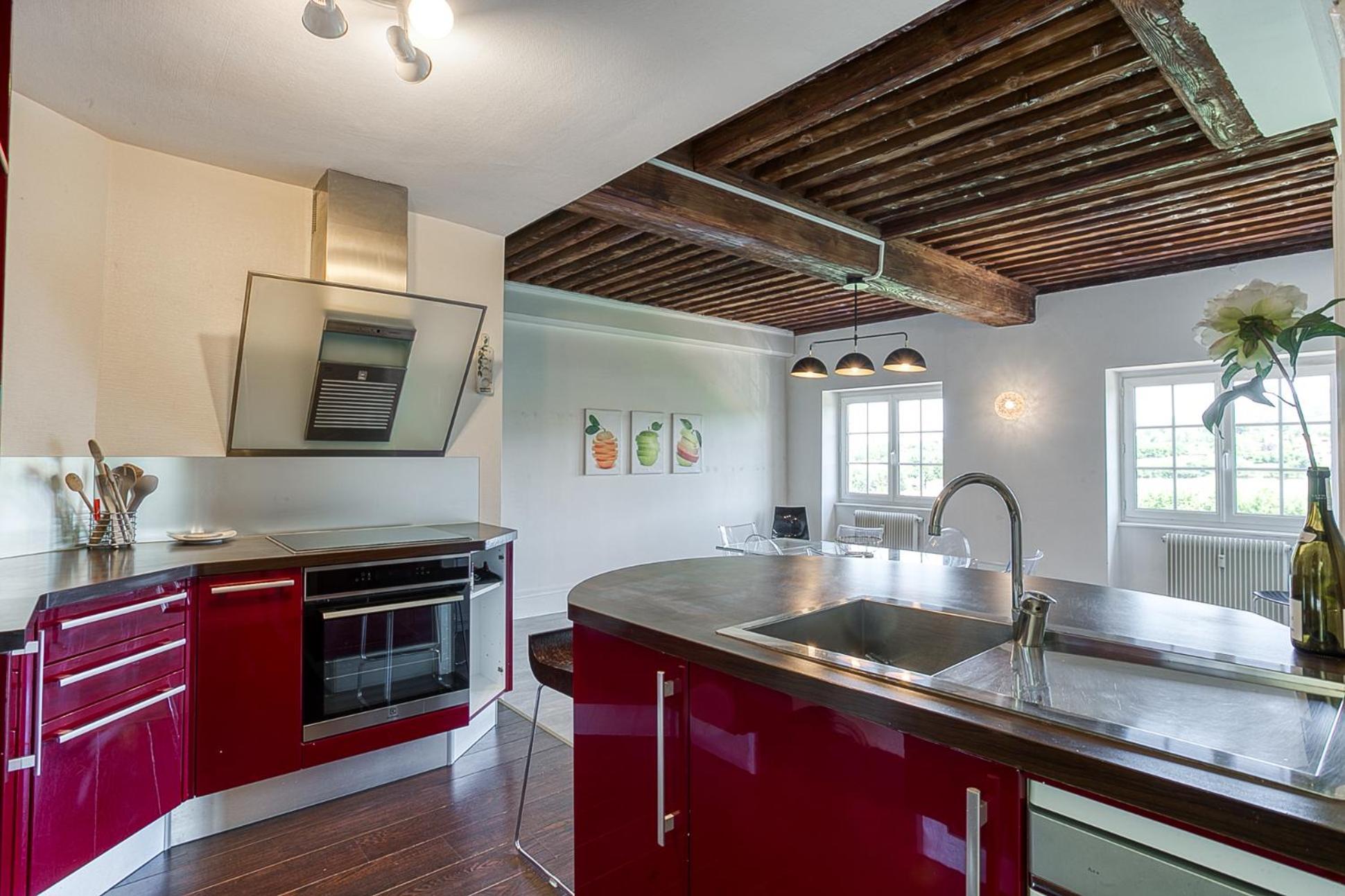 Sejourner Au Chateau De La Roue Grand Appartement Lissieu Dış mekan fotoğraf