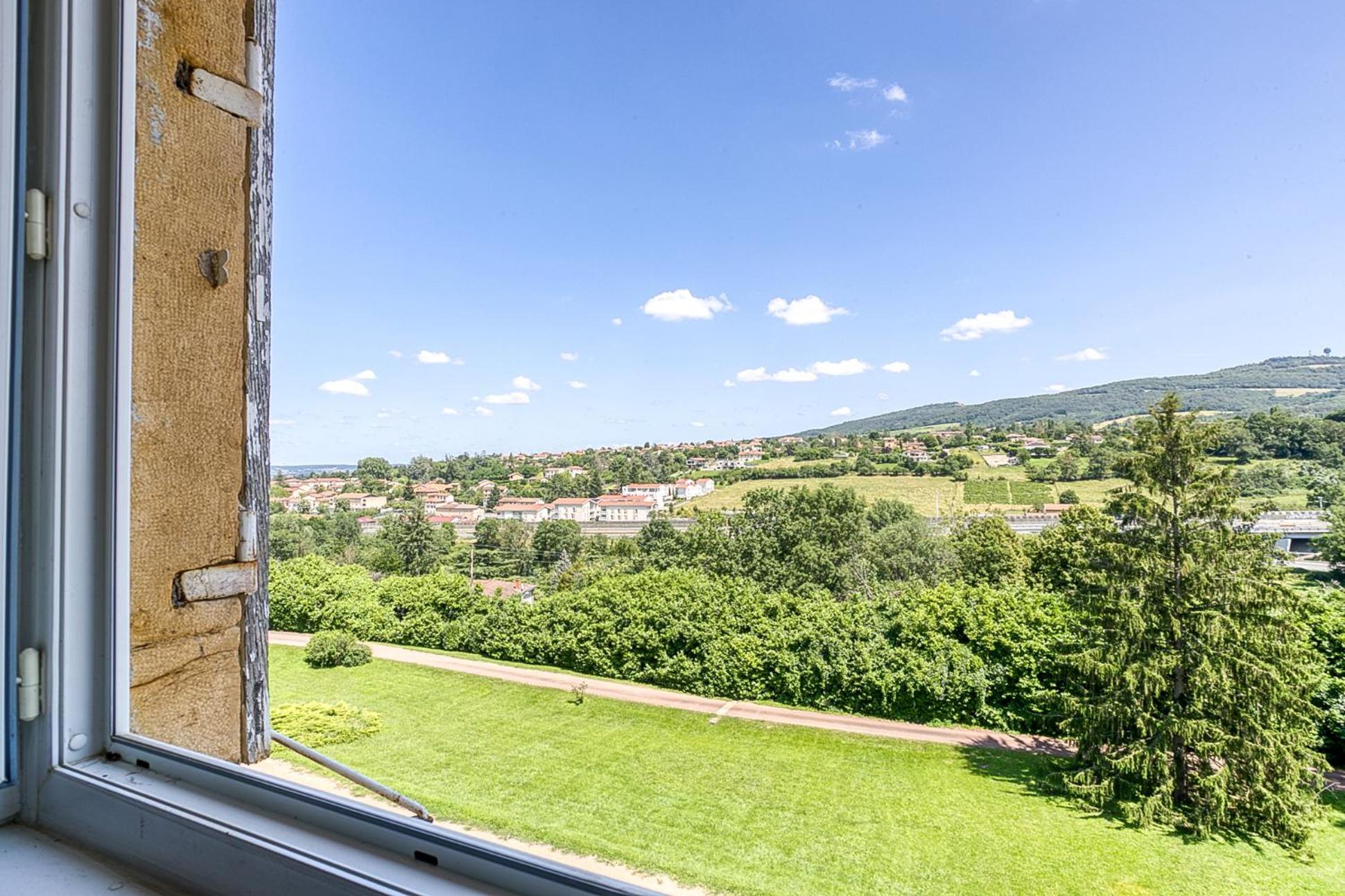 Sejourner Au Chateau De La Roue Grand Appartement Lissieu Dış mekan fotoğraf