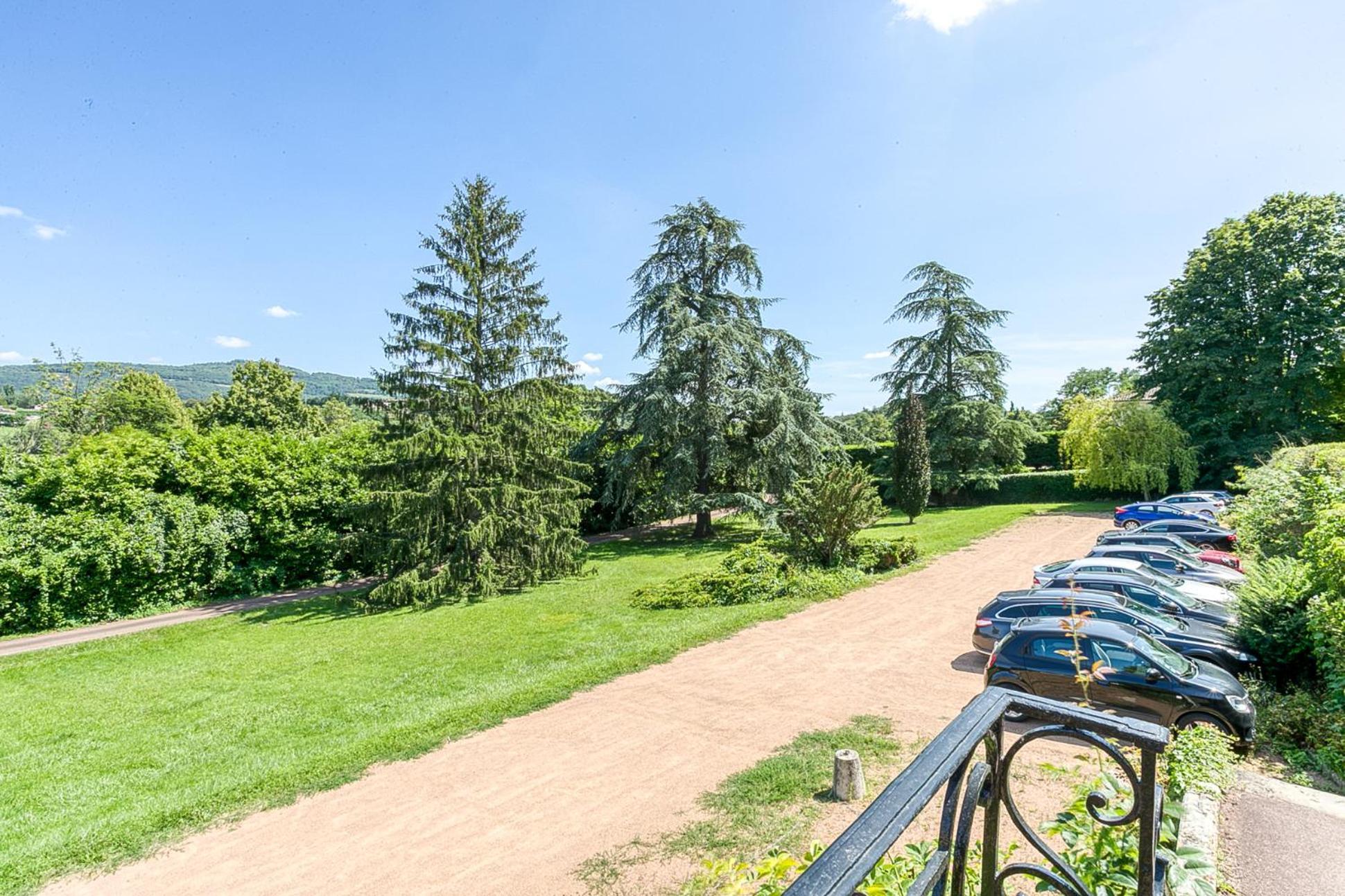 Sejourner Au Chateau De La Roue Grand Appartement Lissieu Dış mekan fotoğraf