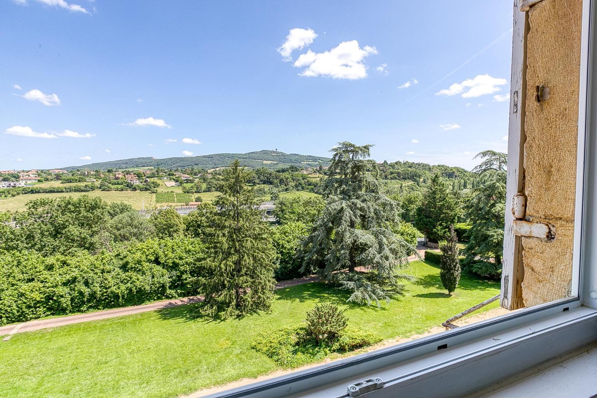 Sejourner Au Chateau De La Roue Grand Appartement Lissieu Dış mekan fotoğraf
