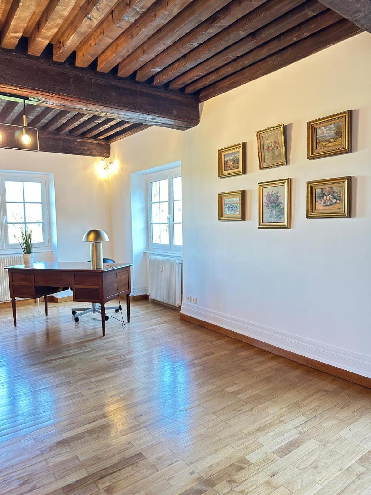Sejourner Au Chateau De La Roue Grand Appartement Lissieu Dış mekan fotoğraf