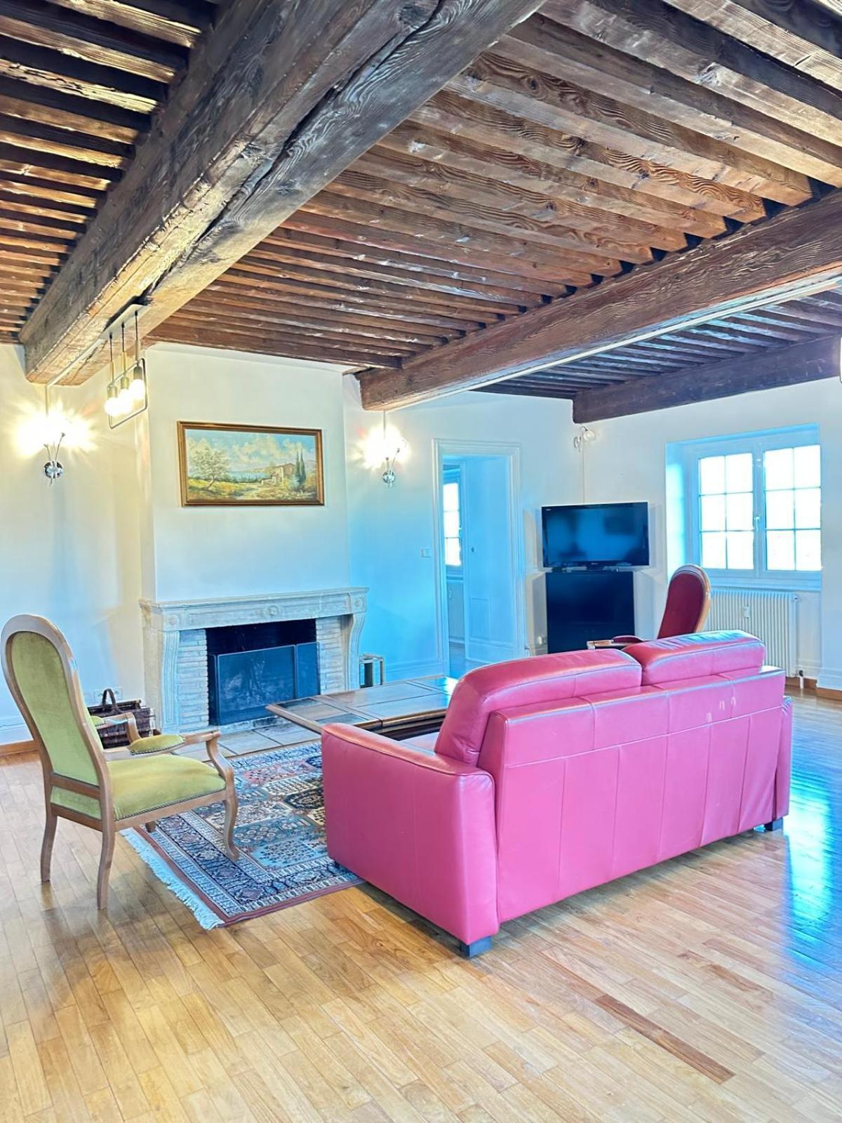 Sejourner Au Chateau De La Roue Grand Appartement Lissieu Dış mekan fotoğraf