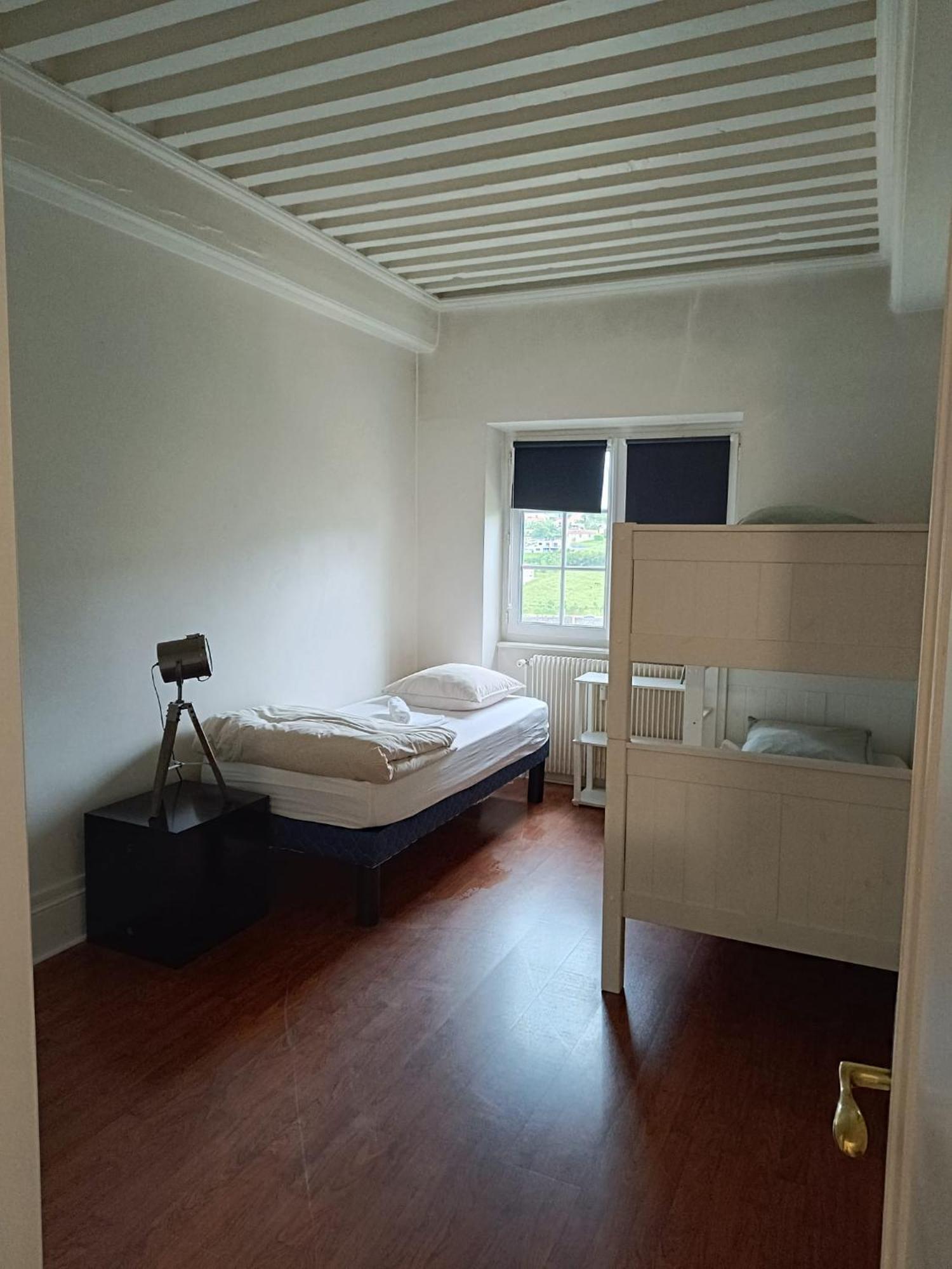 Sejourner Au Chateau De La Roue Grand Appartement Lissieu Dış mekan fotoğraf